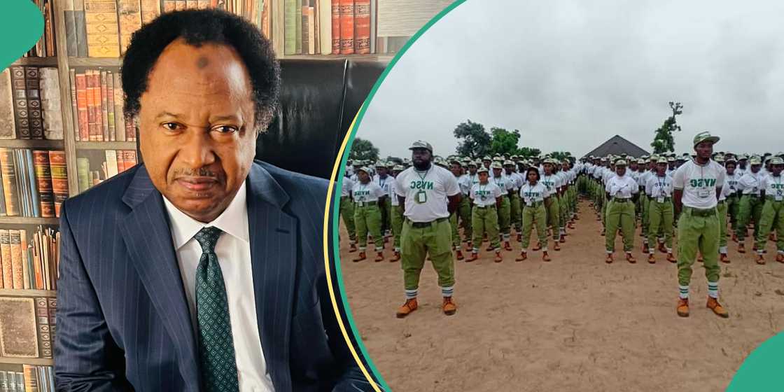 Shehu Sani reacts to NYSC statement on purposed payment of N70,000 minimum wage to corps members