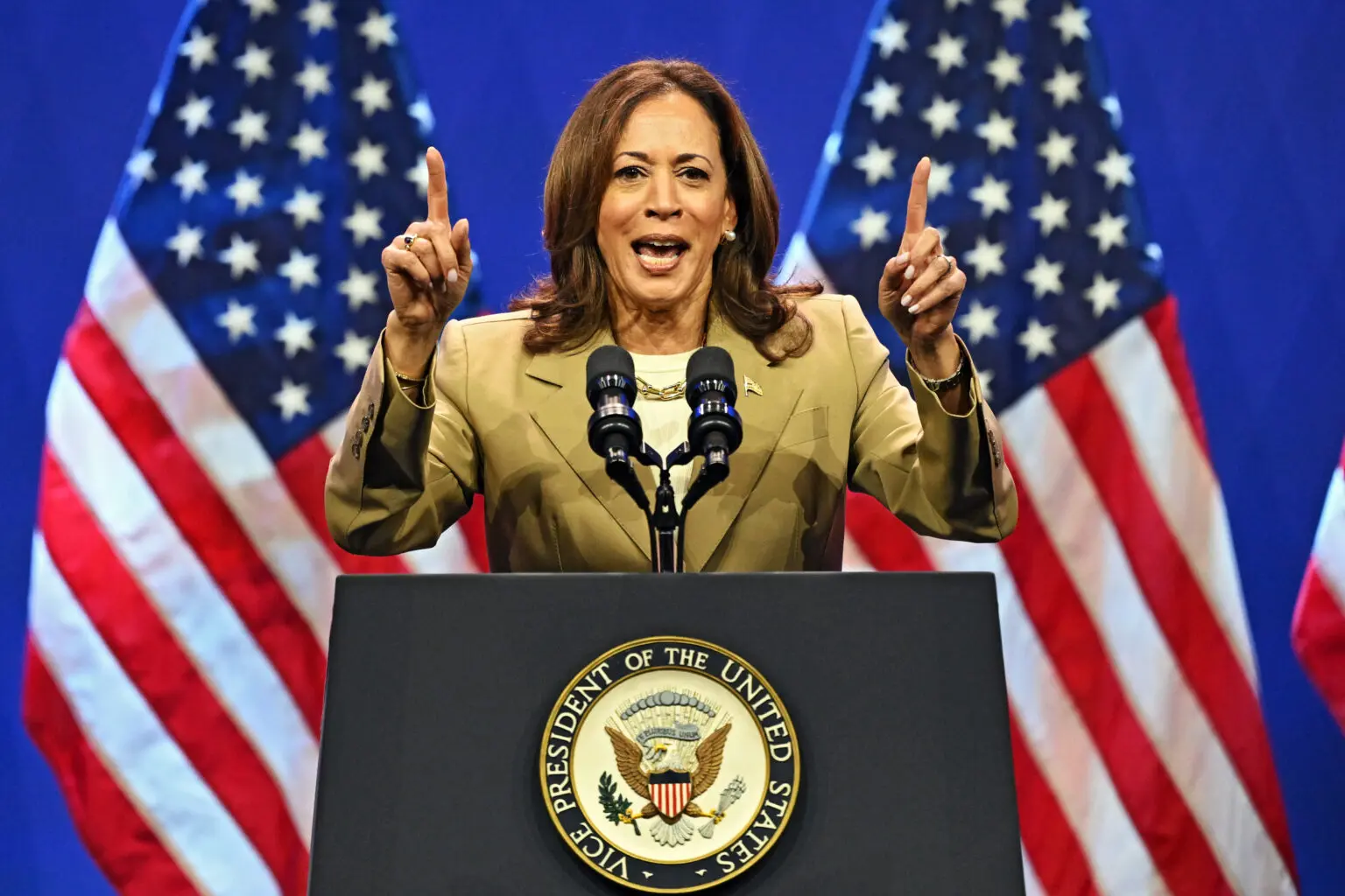 US election: Kamala Harris clinches Democratic Party nomination