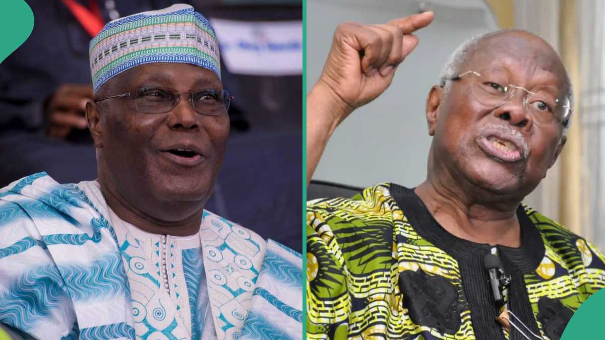 “Why I Didn’t Support Atiku’s Presidential Ambition,” Bode George Gives Reason