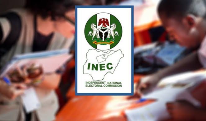 Why INEC can’t conduct LG polls – Council boss