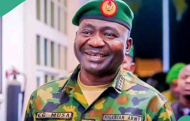 Military will not interfere with Nigeria’s democracy - CDS