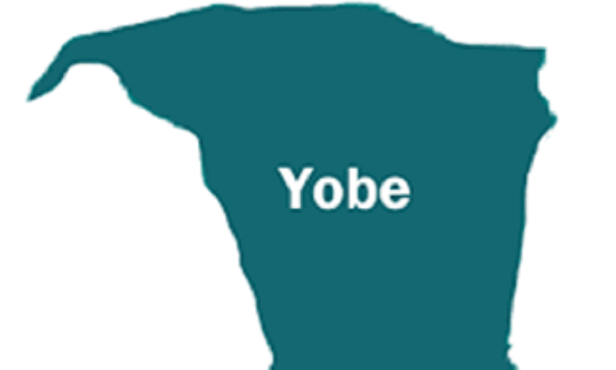 Yobe Health Workers Suspend Strike