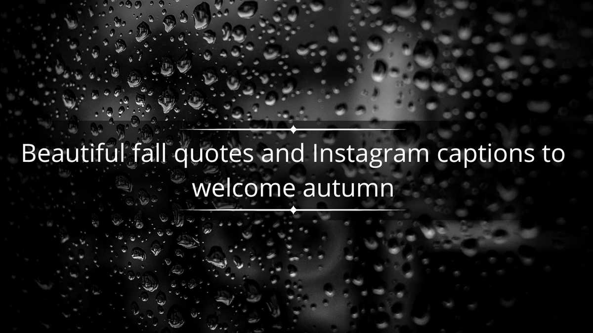 65+ beautiful fall quotes and Instagram captions to welcome autumn