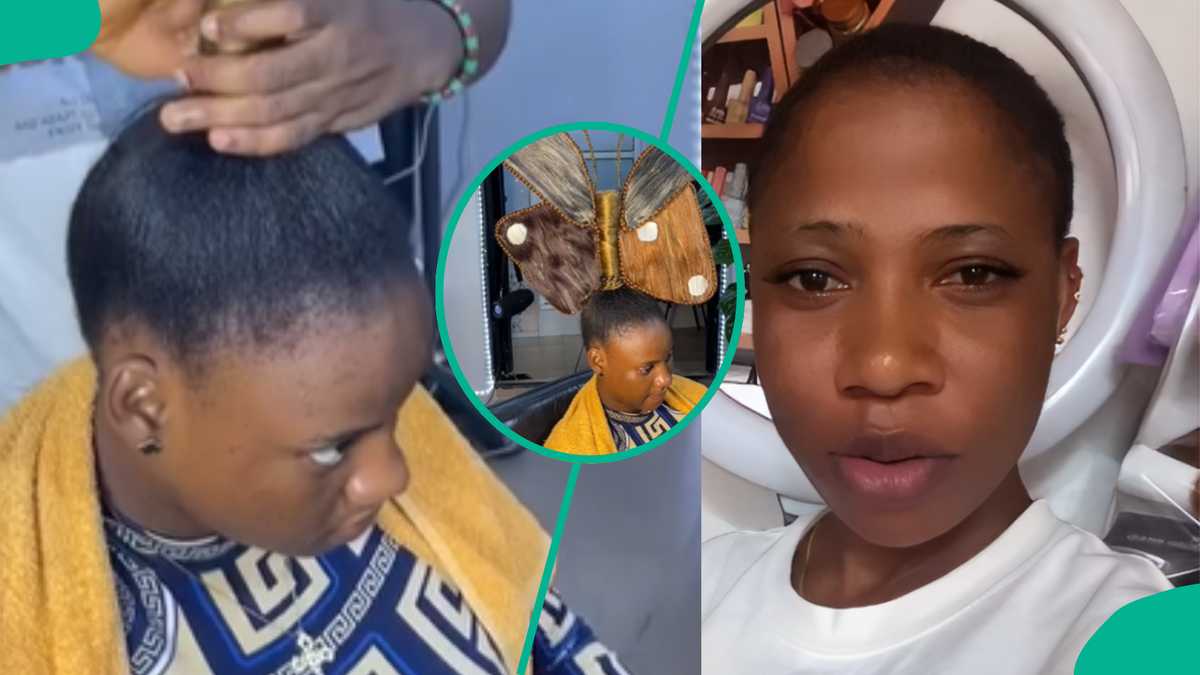 Hairstylist Makes Artistic Butterfly Hairstyle, Shows Process In Video, Gets Accolades: "Creativity"