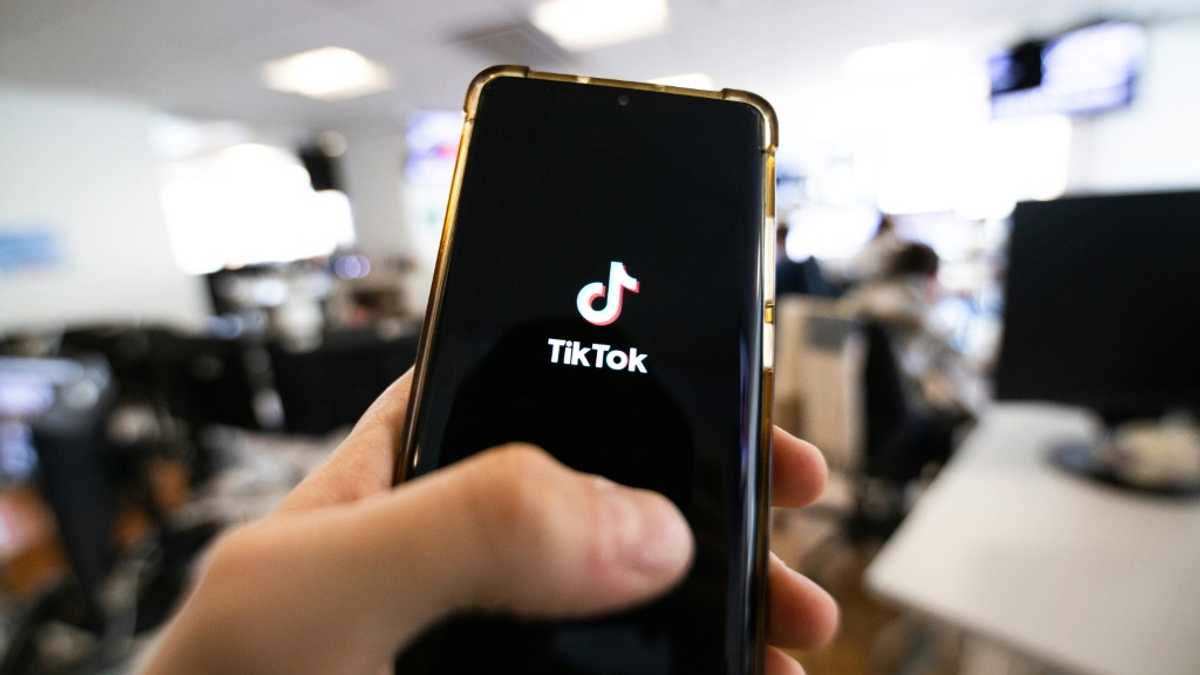 TikTok's US future hangs in balance at federal court