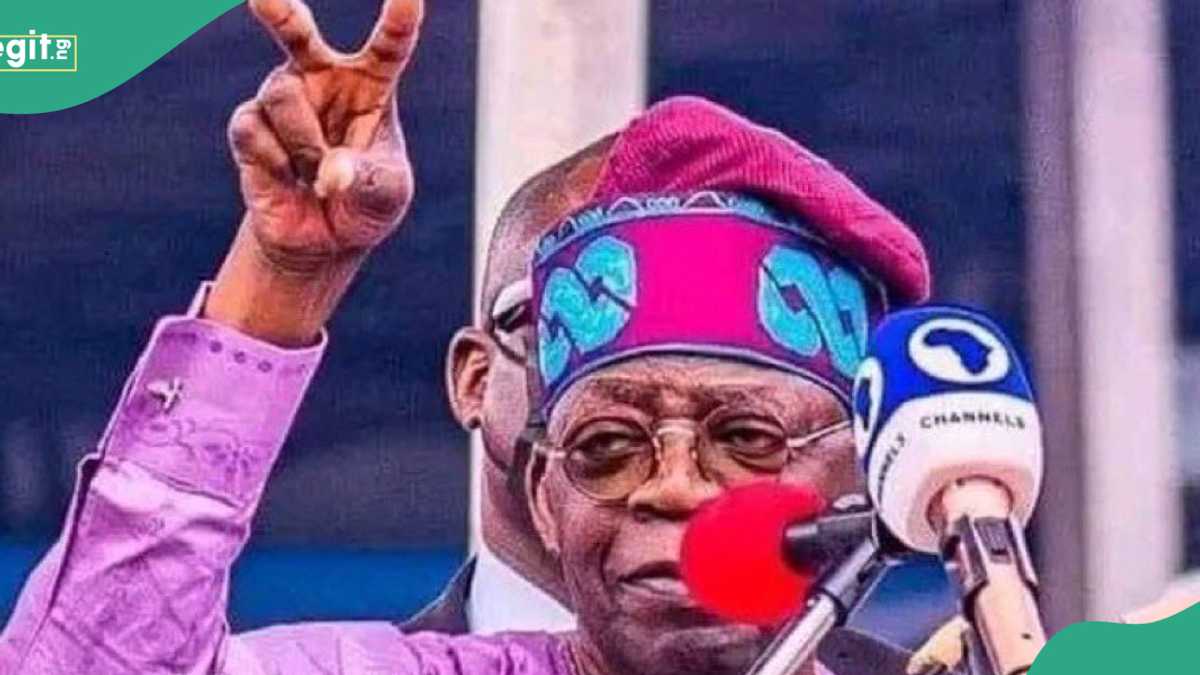 FULL LIST: 7 Bandit Warlords Eliminated Under Tinubu's Govt