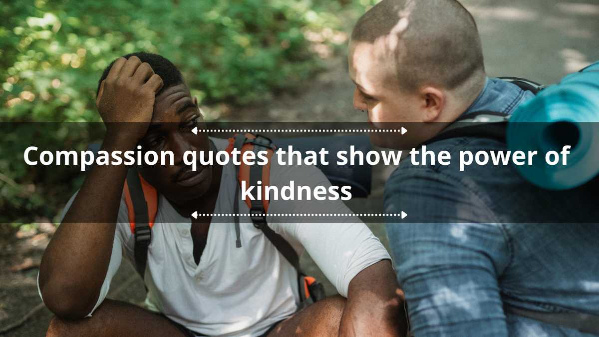 40 compassion quotes that show the power of kindness