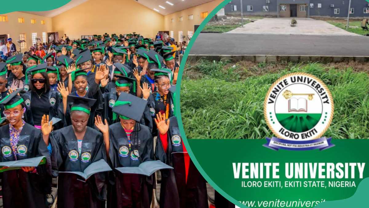 Venite University courses, school fees, cut-off marks and admission requirements