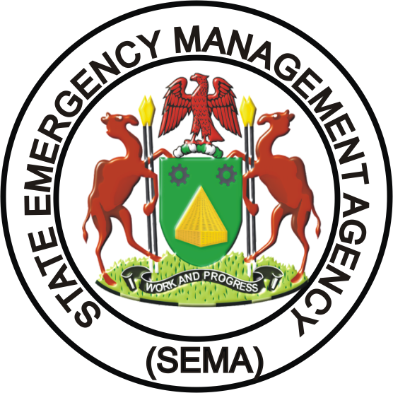 31 Killed, Thousands Displaced By Flood In Kano — SEMA