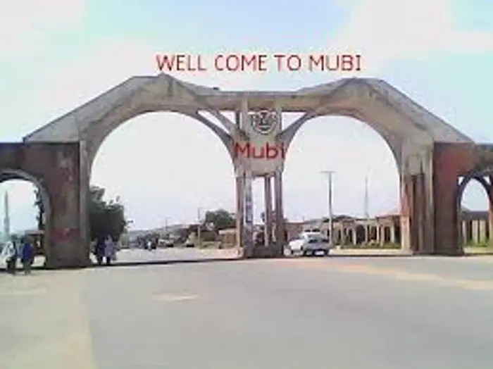 Adamawa: Mubi Maulud Committee secures release of 40 inmates