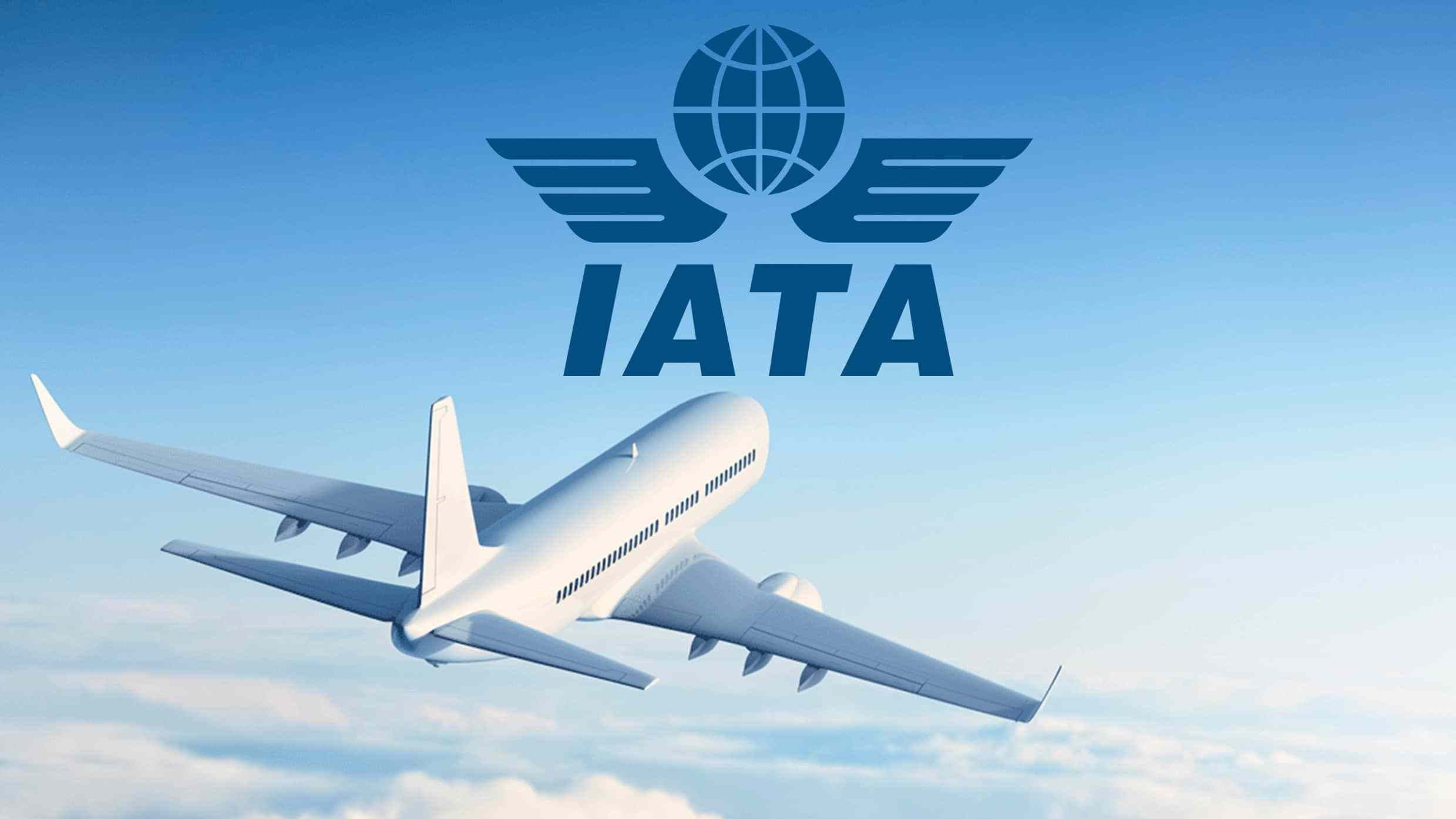 Air cargo demand increases by 13.6 percent in the first half of 2024 – IATA