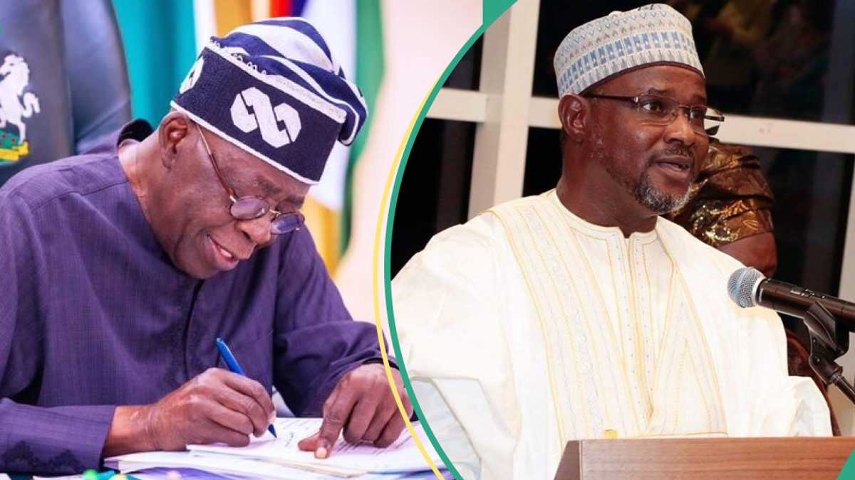 BREAKING: Tinubu Makes 9 Fresh Appointments Into New Agency, Full List Emerge