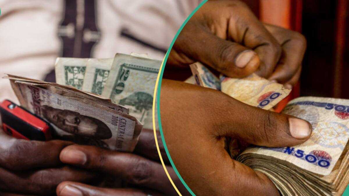 CBN Adjusts FX For Banks, Currency Traders, Others as Naira Sets New Records in Official Window