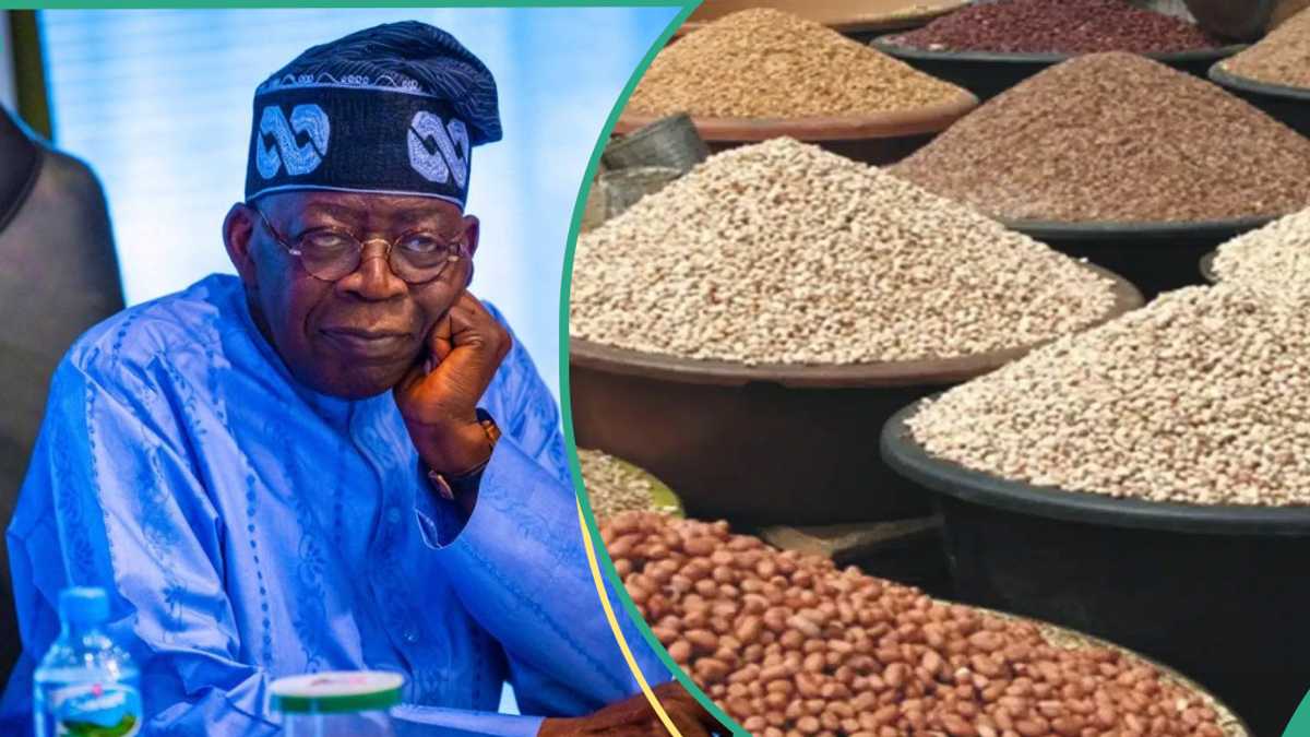 Customs Explains Delay in Implementation of Tinubu's Duty-free Import of Rice, Other Food Items