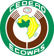 ECOWAS to dump single currency initiative