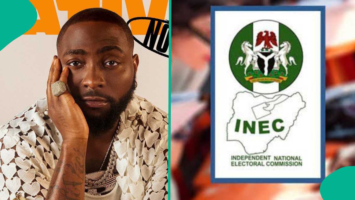 Edo 2024: Davido Triggers Backlash With Rants Over Votes Buying, “When Our Mumu Go Do?”