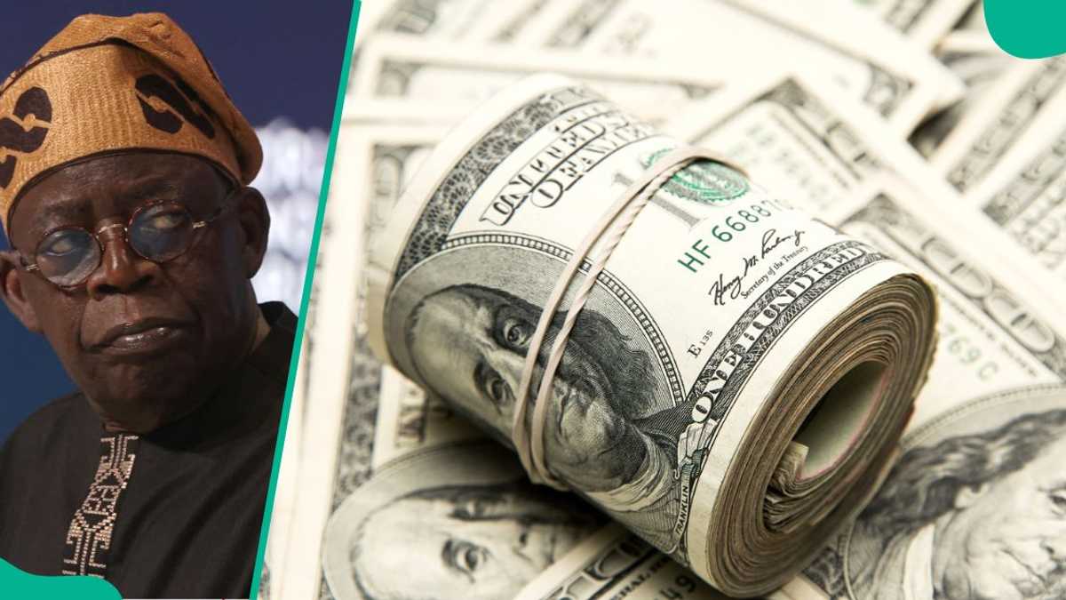 External Reserves Break New Record Under Tinubu, Hits 22-Month High as Naira Gets New Position