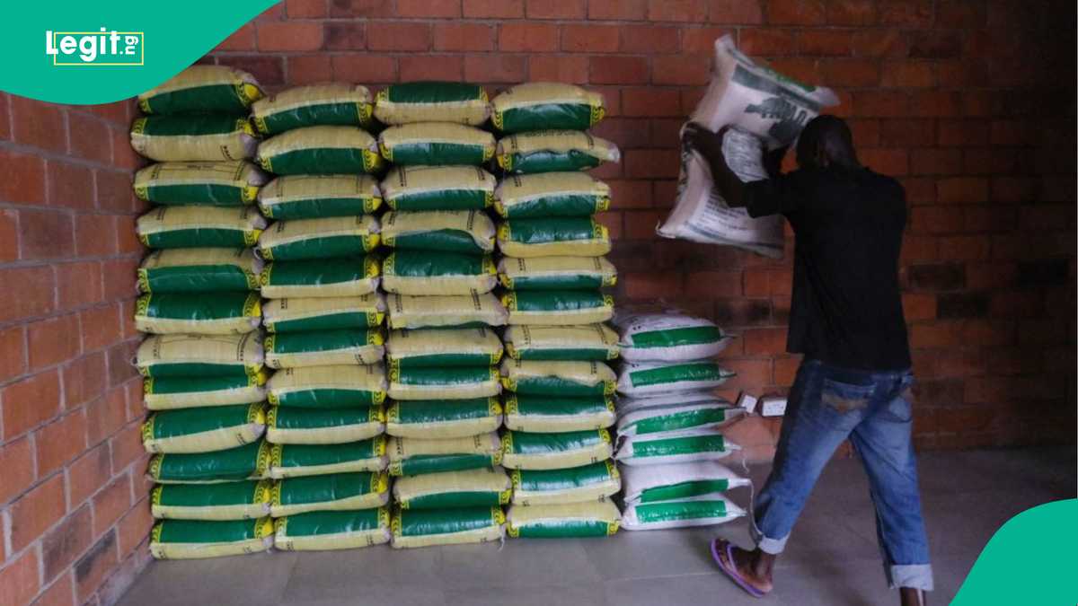 FULL LIST: 7 Times the Price of 50kg Bag of Rice Goes Up in Nigeria Over the Past 30 Years