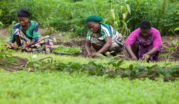 Smallholder Farmers In South-South