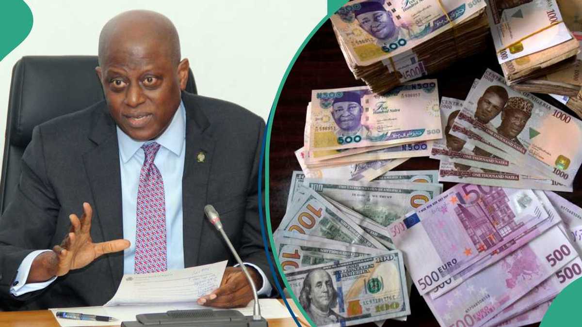 Good News for Naira in the Foreign Exchange Market Against Dollar After US Government Decision