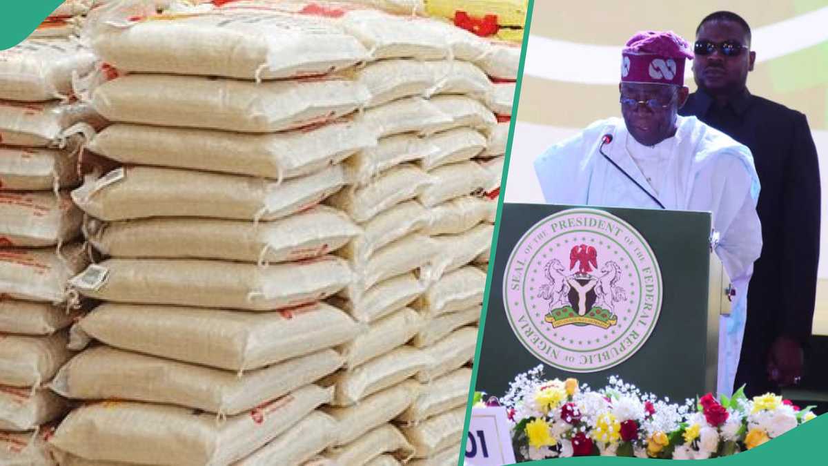 How to Get Federal Government's 50Kg Bag of Rice at ₦40k