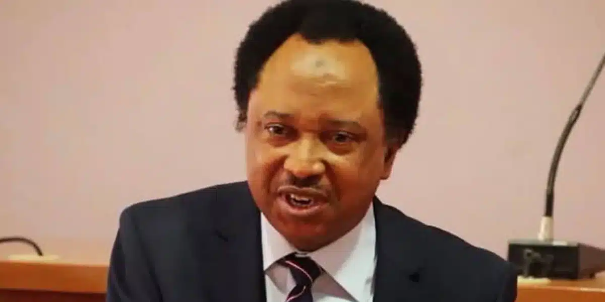 “Impose heavy fine on citizens with PVC who refuse to vote during elections” — Shehu Sani