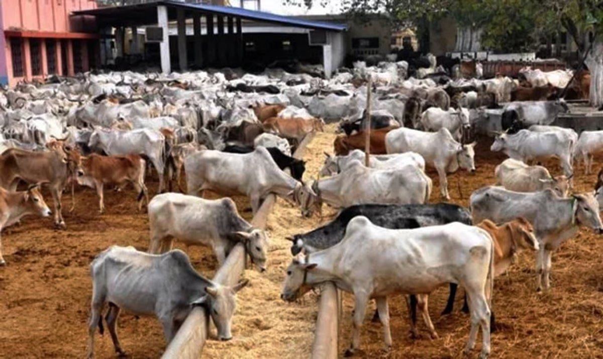 Kwara Trains Livestock Farmers