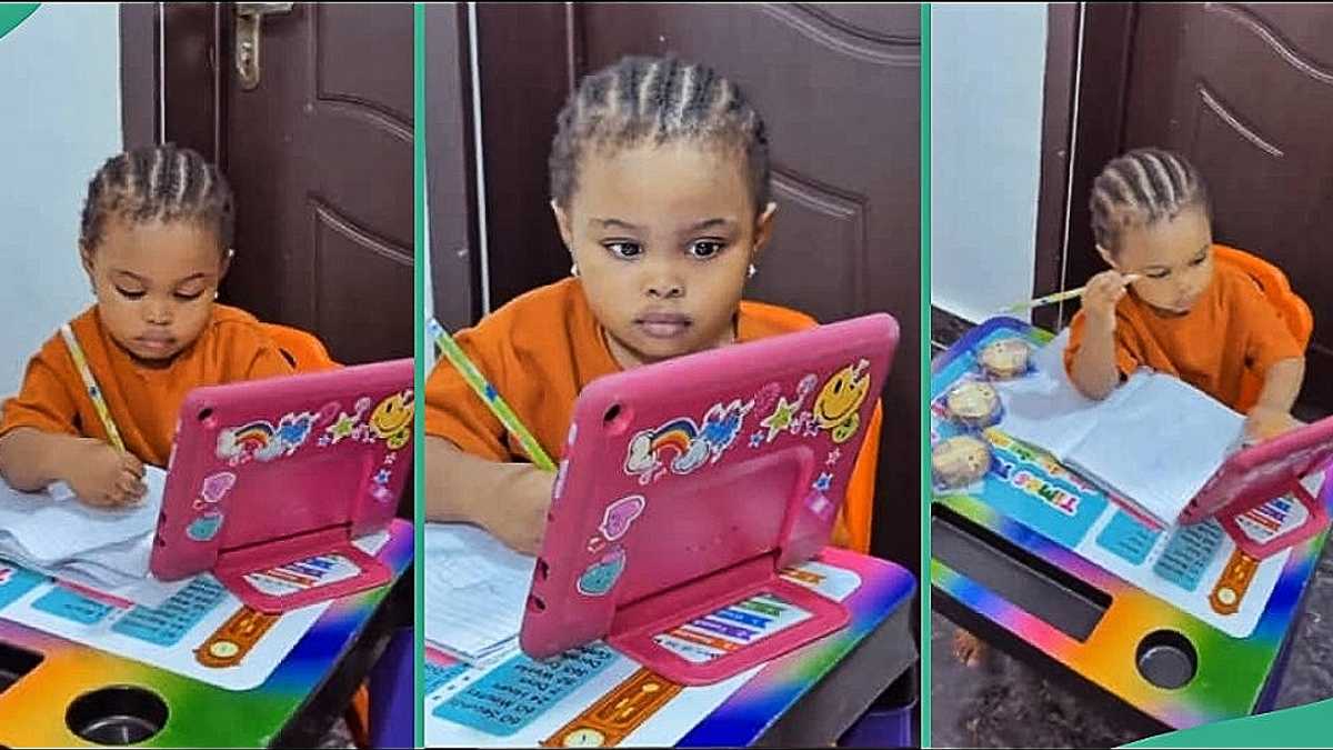 Little Girl Studies Her Books With Full Concentration in Viral Video, People React to Clip