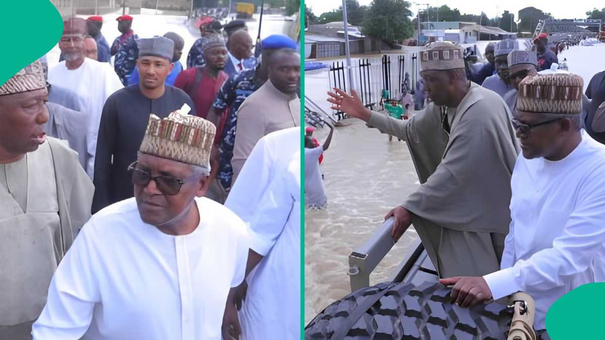 Maiduguri Flood: Northern Youths React as Dangote Donates N1.5bn to Support Victims