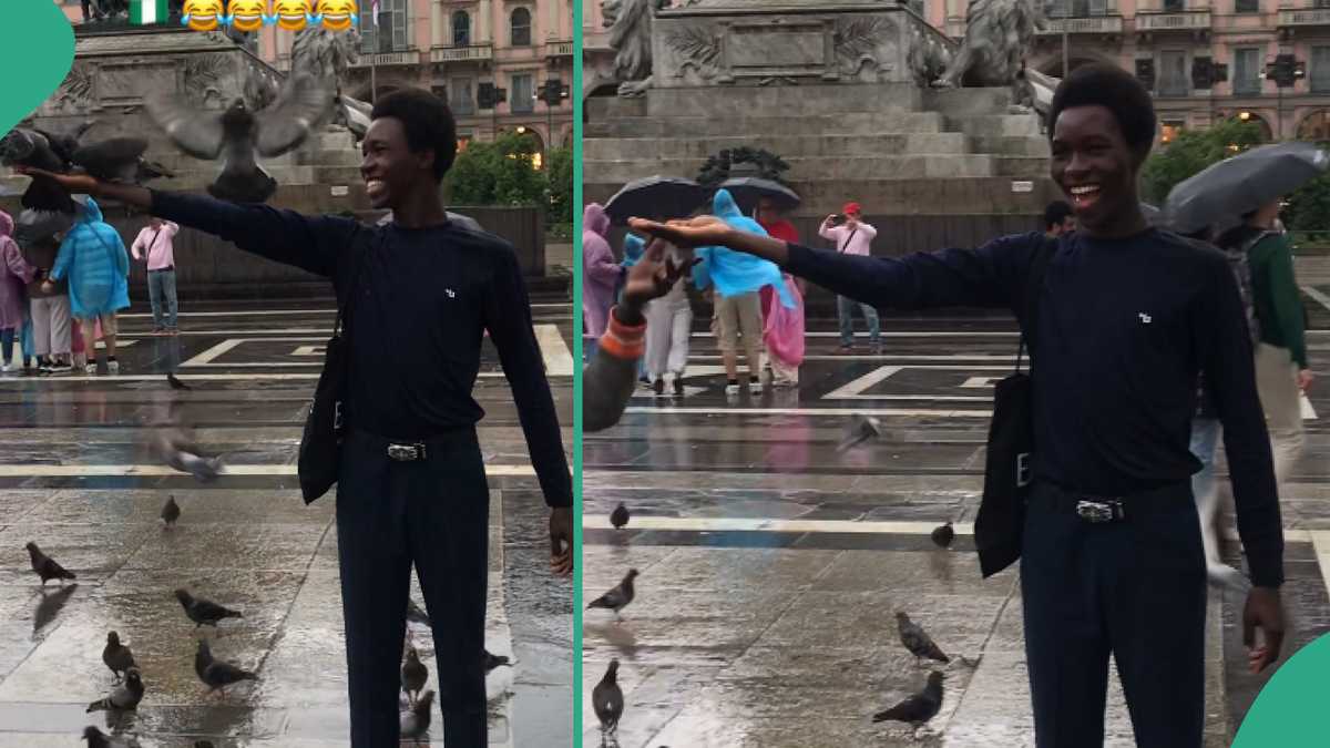 Man Living Abroad Wonders Why Birds Rushed to Perch on His But There But Runs From Him in Nigeria