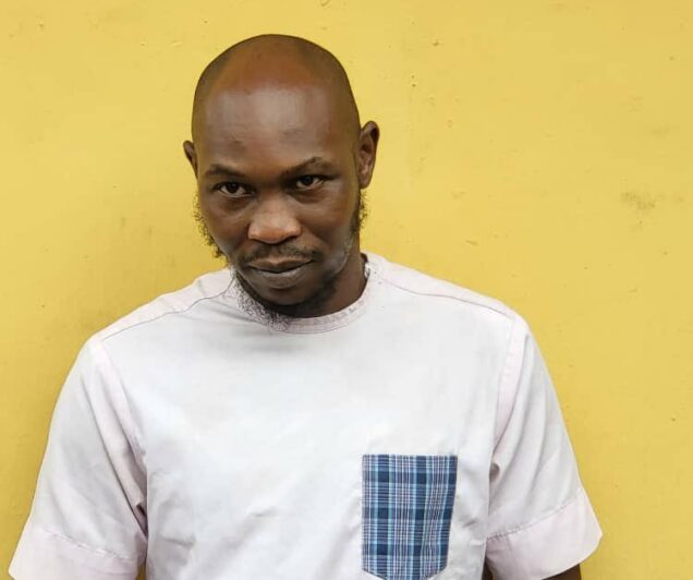 My father spoilt me while growing up – Seun Kuti