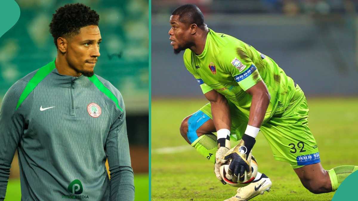 Nigeria VS Benin: Man Insists Maduka Okoye Should Start Ahead of Stanley Nwabali in AFCON Qualifiers