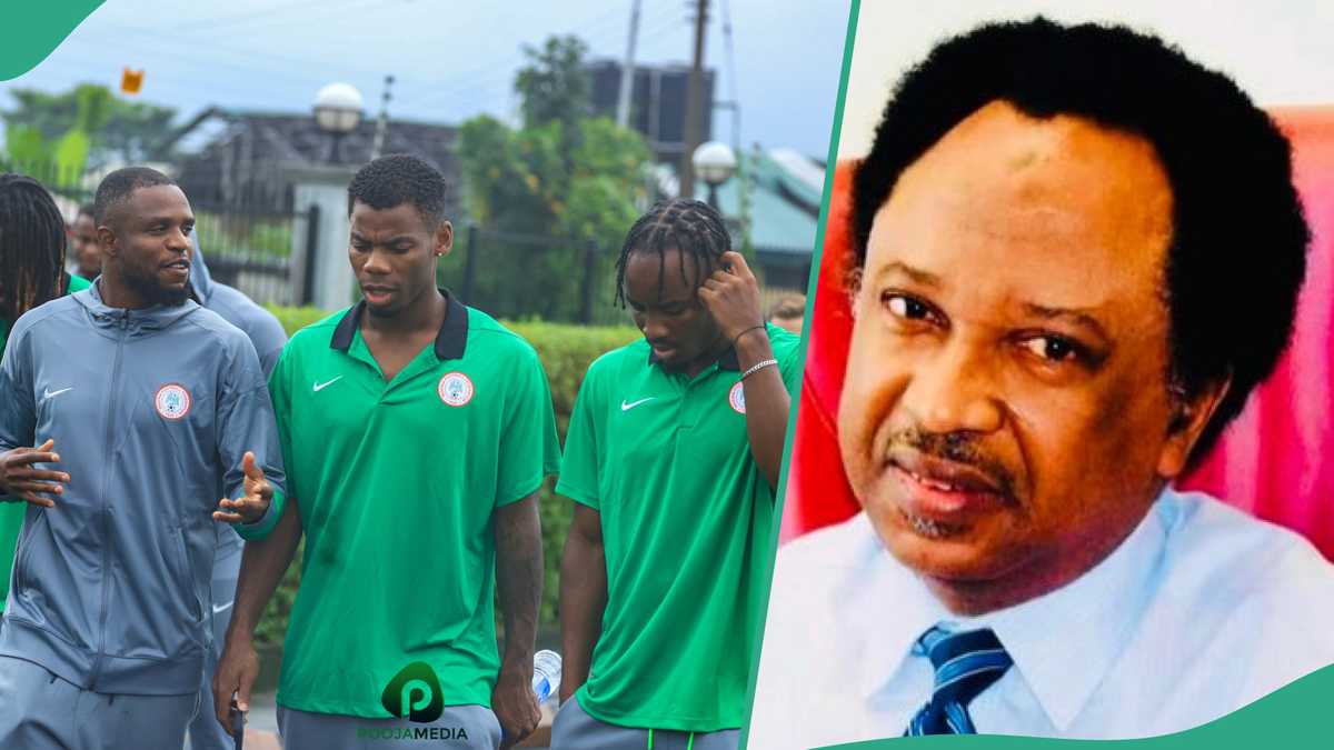 Nigeria vs Benin: Shehu Sani Mentions Nigerians Who Should Not Watch Super Eagles Live