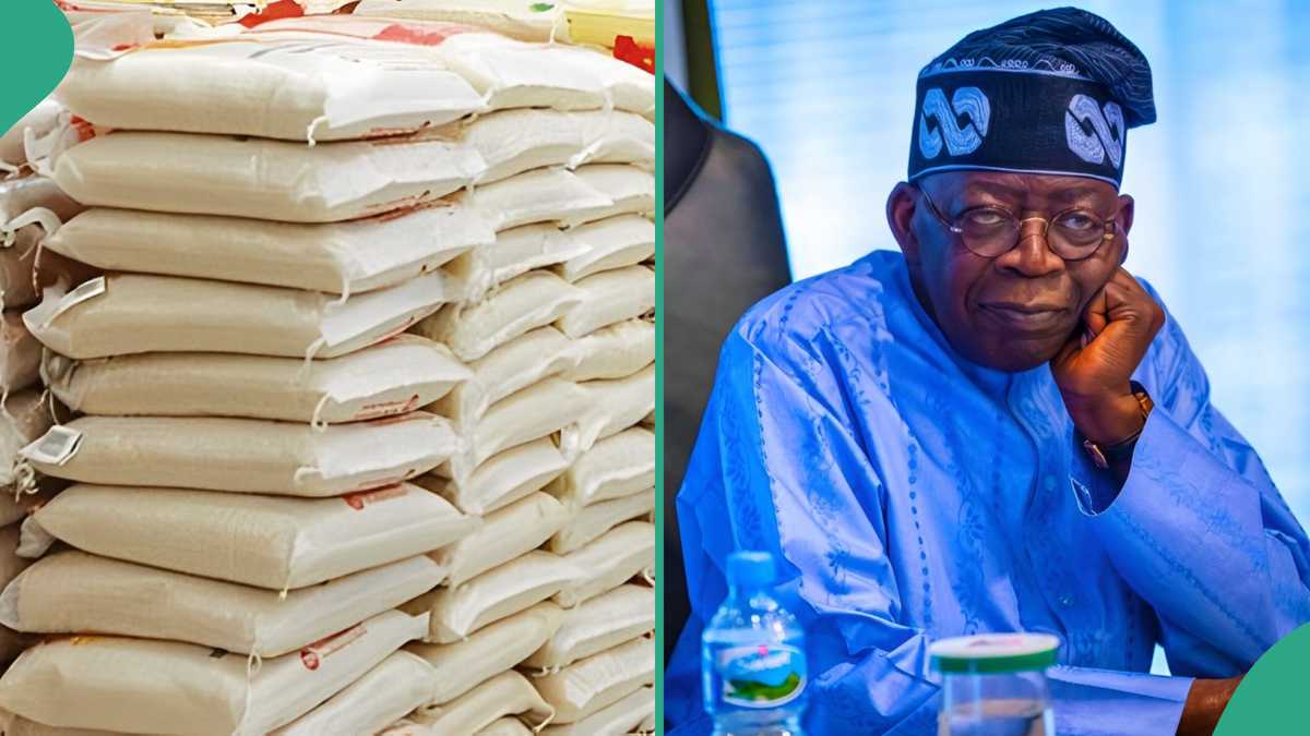 Nigerians Cry Out to Tinubu Over Struggle to Access N40k Rice Sales Points