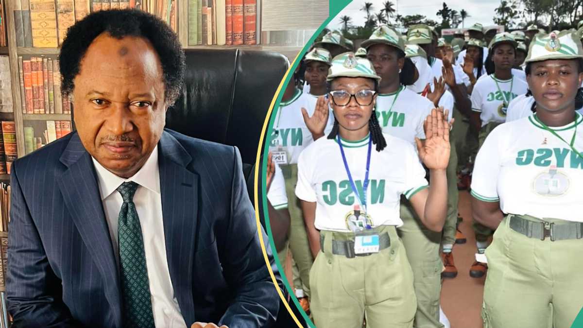 Not 77K: Shehu Sani Discloses Amount FG Should Have Paid Female NYSC Members, Gives Reason