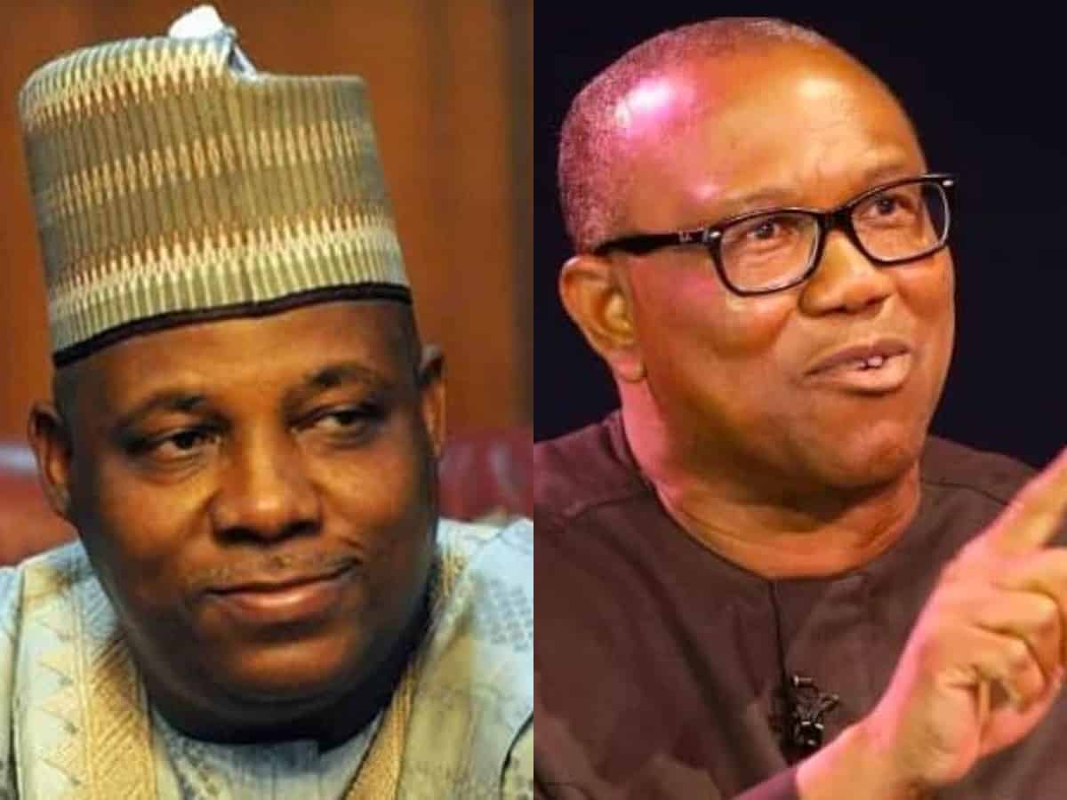 Peter Obi dragged for kneeling to shake VP Shettima In Kastina (Photo)