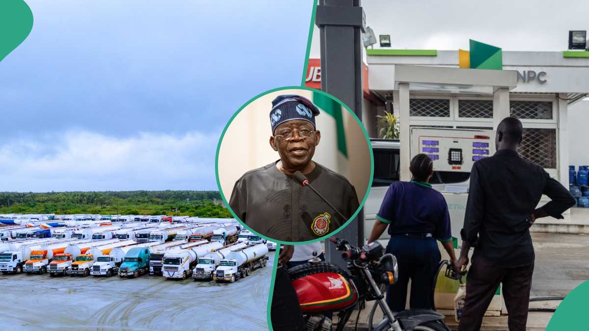 President Tinubu Makes Final Decision on Petrol Pump Price As Dangote, NNPC Disagree