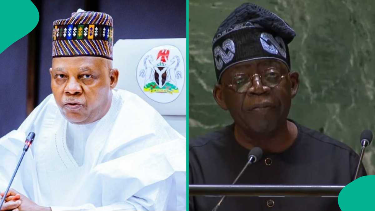 President Tinubu to Stay in Nigeria, Sends VP Shettima to Lead Nigeria at UNGA 79