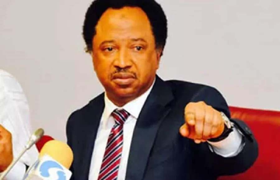 Shehu Sani Set To Defect As Supporters Join APC