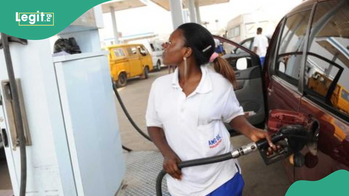 The Pain of Petrol Price Increases as Data Shows States With Highest Prices