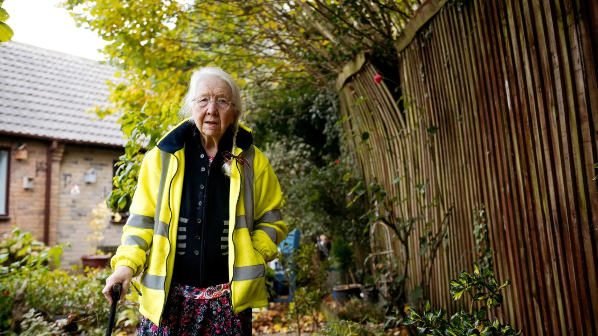 I'm forced to live in darkness thanks to council's HUGE towering hedge - it's destroyed my fence and ruined my garden