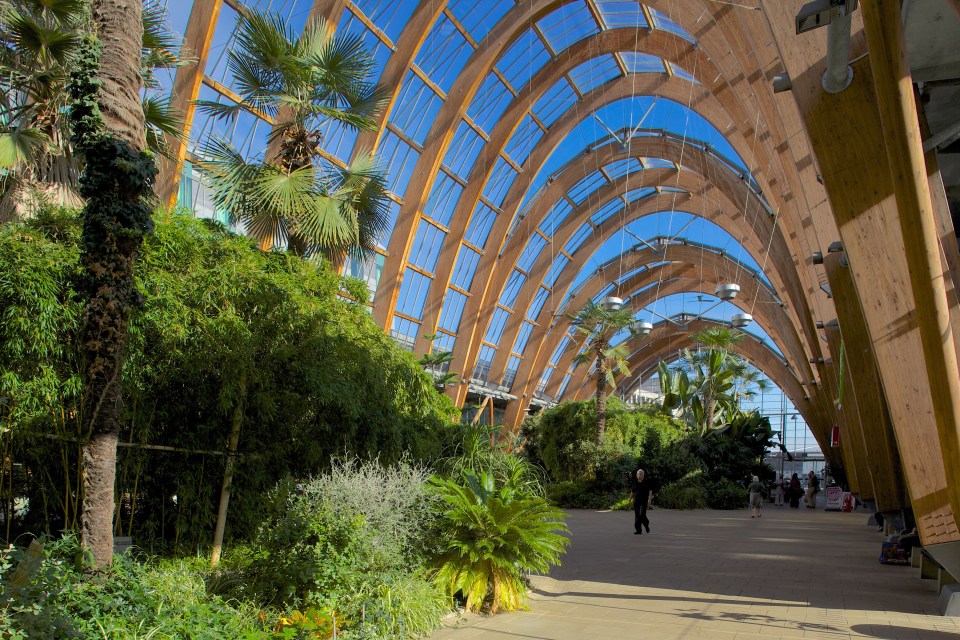 One of its top attractions is the Sheffield Winter Garden (pictured)