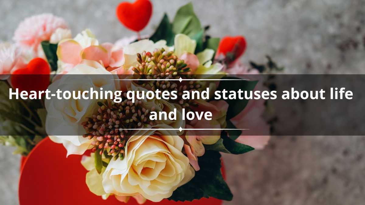 200 heart-touching quotes and statuses about life and love