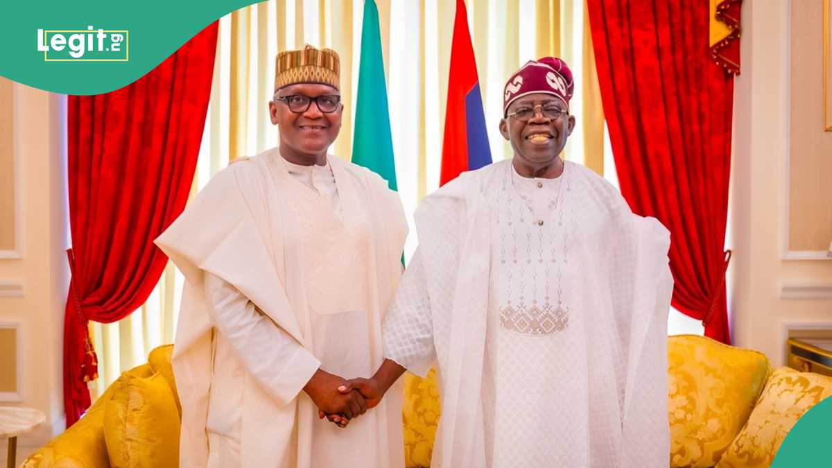 Aso Rock Visit: “What I Told Tinubu,” Dangote Opens Up