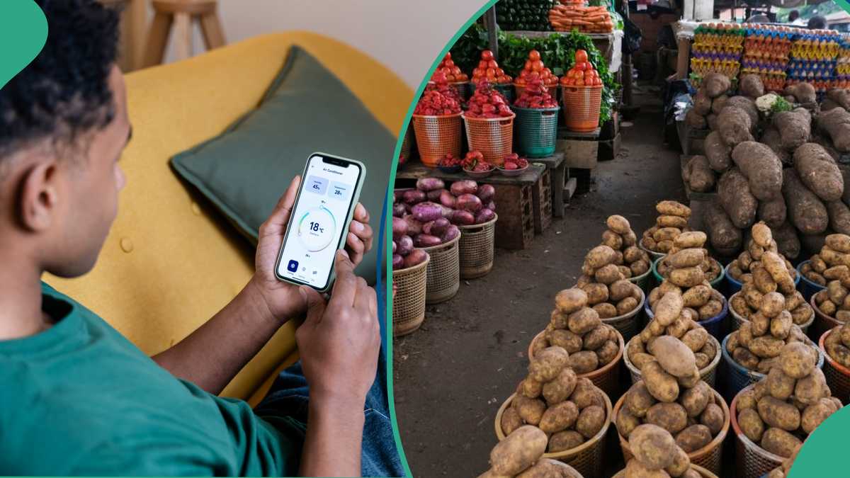 Bank Launches New App for Nigerians To Check Food Prices