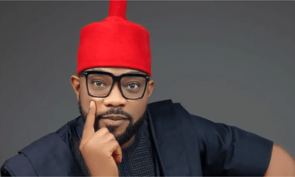 Damagum’s Has Been Frolicking With APC To Destroy PDP – Ugochinyere