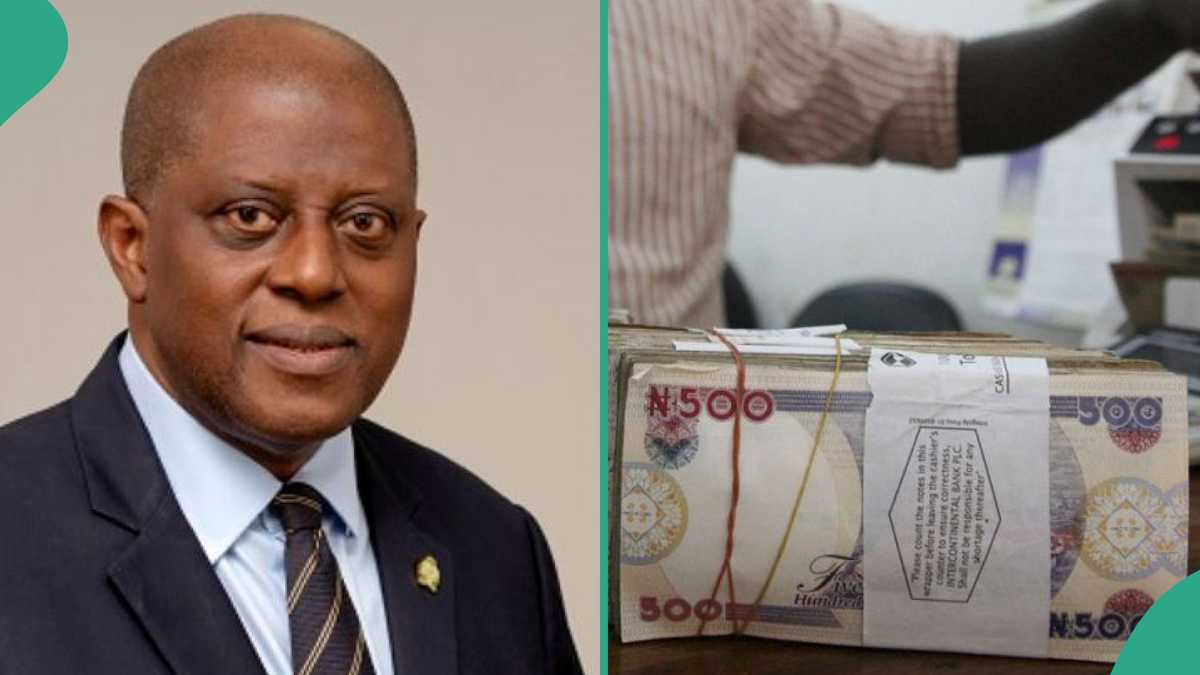 Economist Reveals Real Naira Rate as Currency Emerges Among Top Worst-Performing