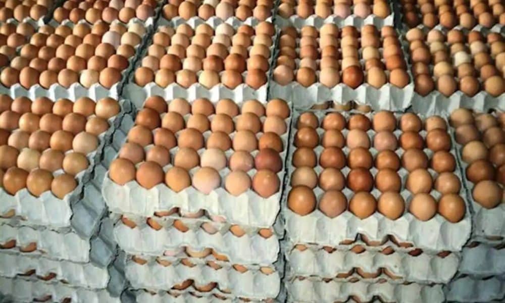 Eggs May Be Sold For ₦10,000 Per Crate