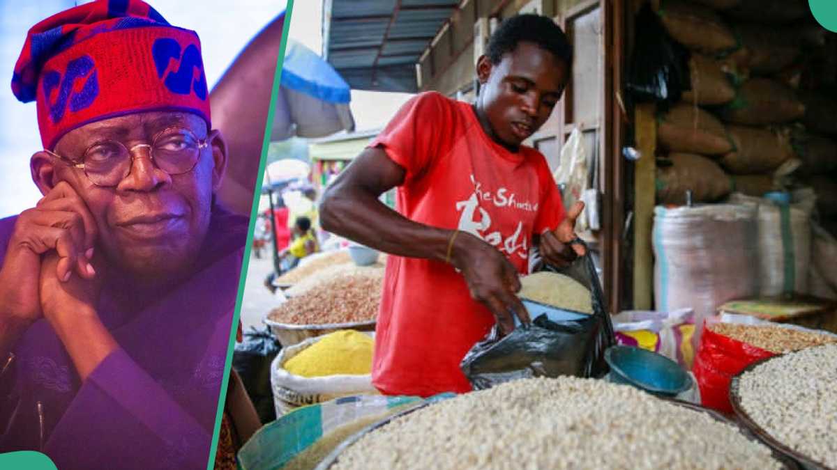 FG Gives Instruction as It Begins Sharing 40k Rice, Names Those to Apply