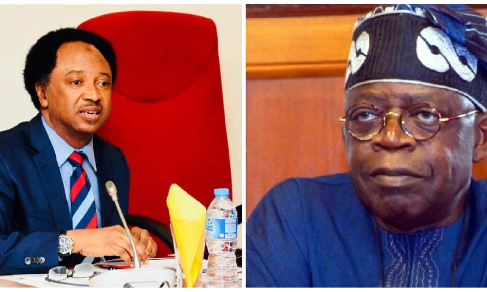 Shehu Sani Predicts What May Happen If Presidential Tribunal Sacks Tinubu